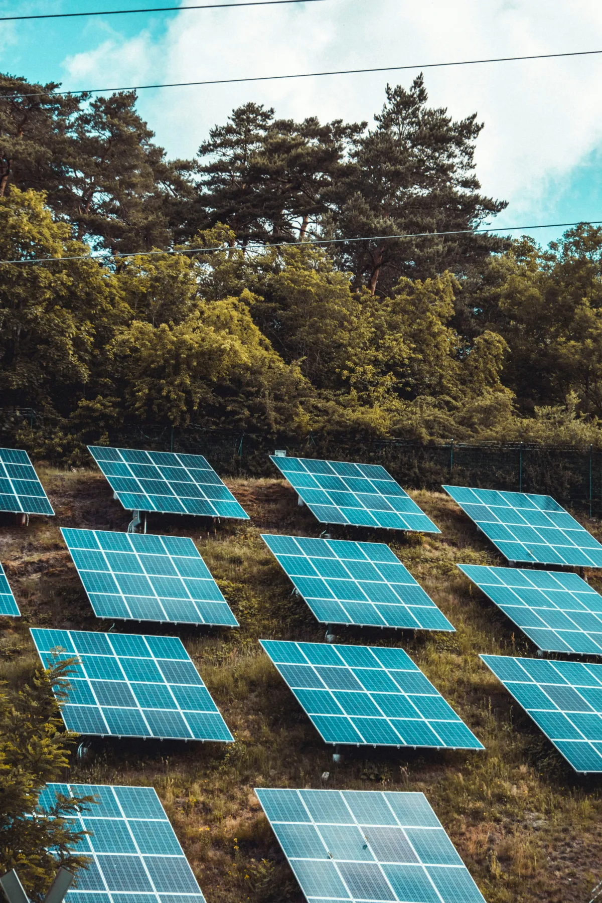 Utility-Scale Solar Plant